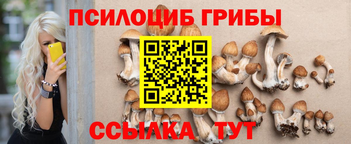 Бошки Шишки Похвистнево