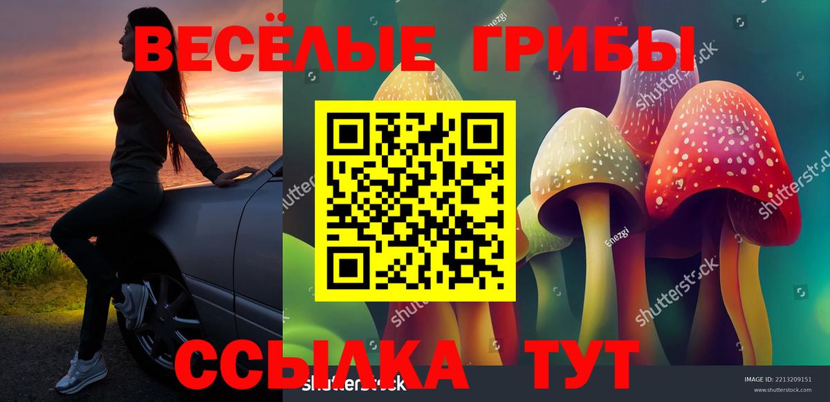 Псилоцибиновые грибы GOLDEN TEACHER Похвистнево